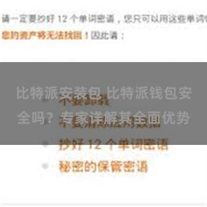 比特派安装包 比特派钱包安全吗？专家详解其全面优势