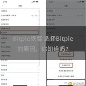 Bitpie恢复 选择Bitpie的原因，你知道吗？