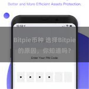 Bitpie币种 选择Bitpie的原因，你知道吗？