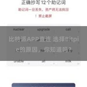 比特派APP直连 选择Bitpie的原因，你知道吗？