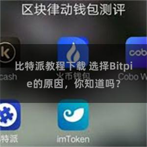 比特派教程下载 选择Bitpie的原因，你知道吗？