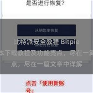 比特派安全教程 Bitpie钱包最新版本下载教程及功能亮点，尽在一篇文章中详解