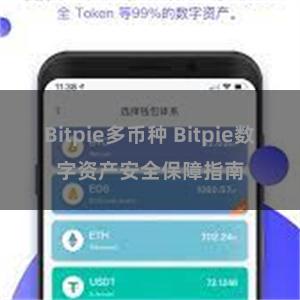 Bitpie多币种 Bitpie数字资产安全保障指南