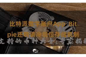 比特派数字账户App  Bitpie还聘请冷钱包存储机制