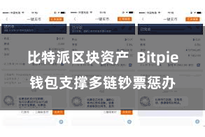 比特派区块资产  Bitpie钱包支撑多链钞票惩办