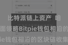 比特派链上资产  咱们将全面领略Bitpie钱包相沿的区块链收集