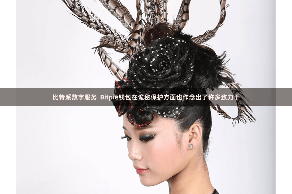 比特派数字服务  Bitpie钱包在诡秘保护方面也作念出了许多致力于